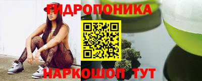 стаф Кохма