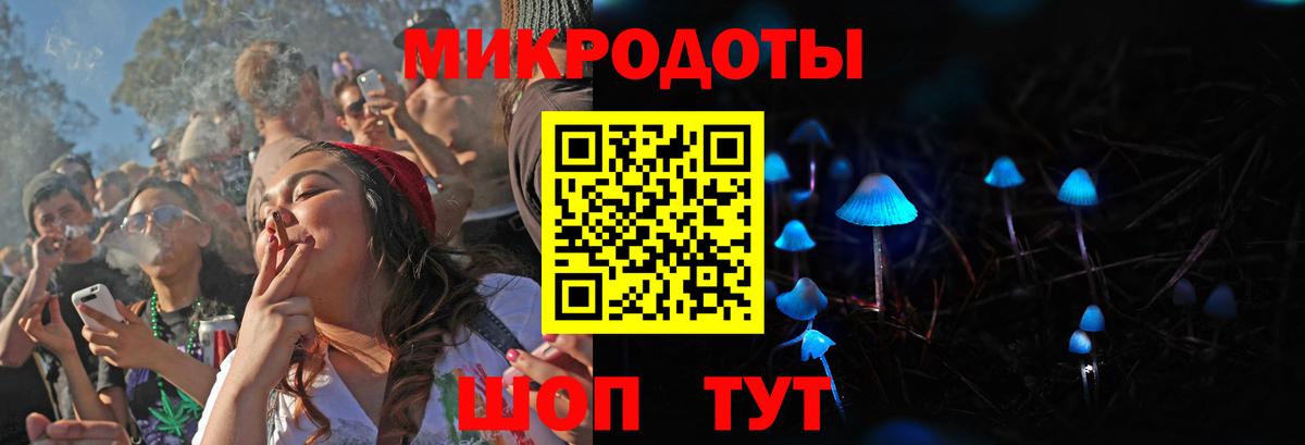 Псилоцибиновые грибы мицелий Богданович
